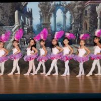 Academy of Dance ico