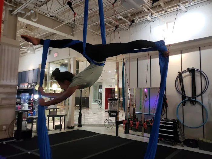 Academy of Aerial Fitness Picture 2