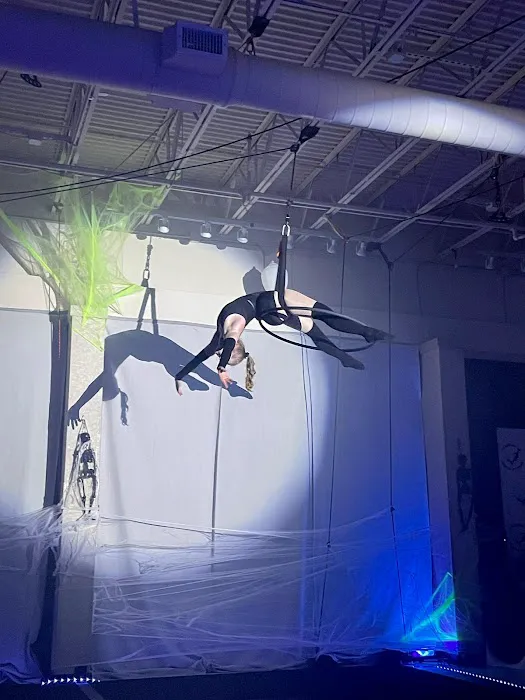 Academy of Aerial Fitness Picture 3