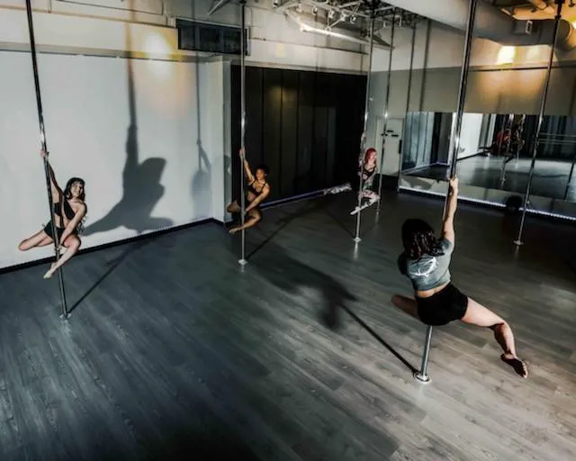 Academy of Aerial Fitness Picture 4