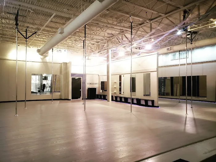 Academy of Aerial Fitness Picture 8