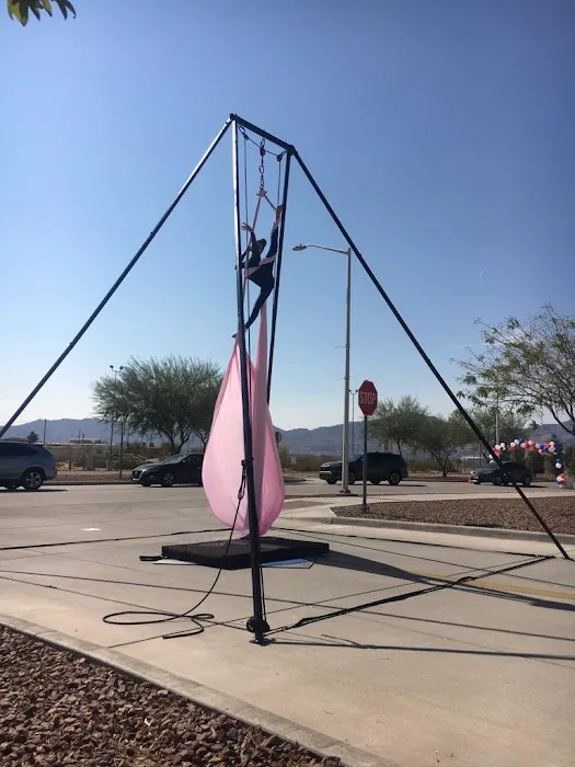 Academy of Aerial Fitness Picture 7