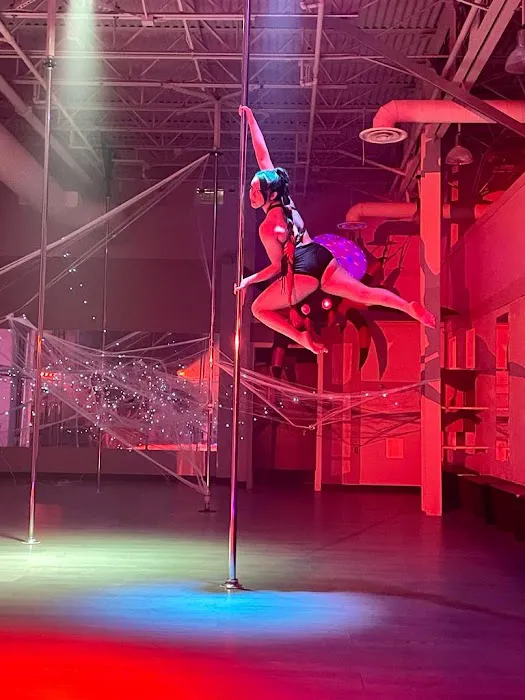 Academy of Aerial Fitness Picture 5
