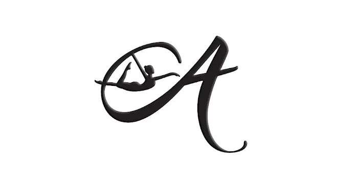 Aideérial Company Picture 4