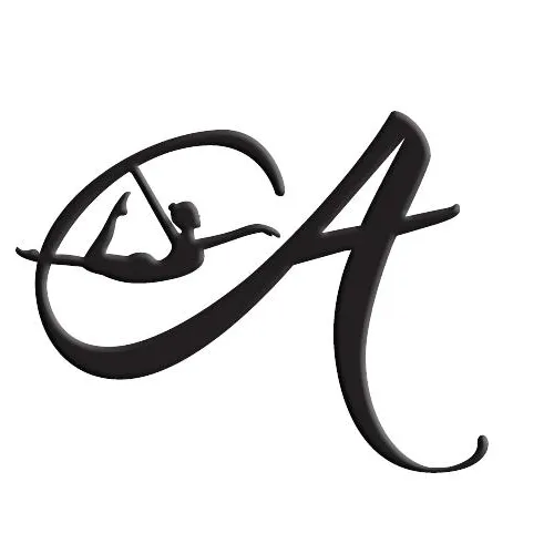 Aideérial Company Picture 7