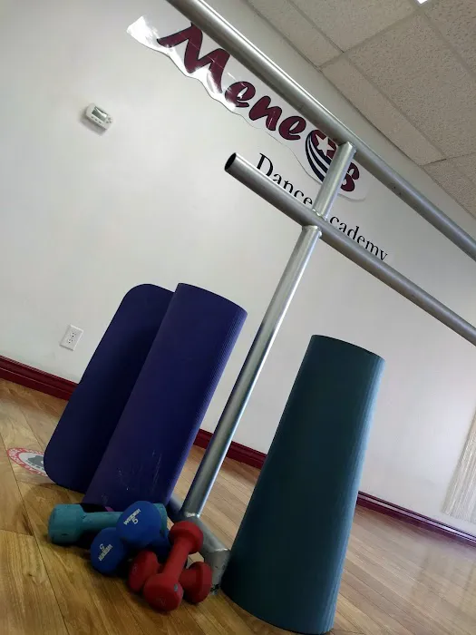 Meneos Dance Academy Picture 4