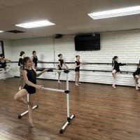 Elena Baker Dance Studio ico