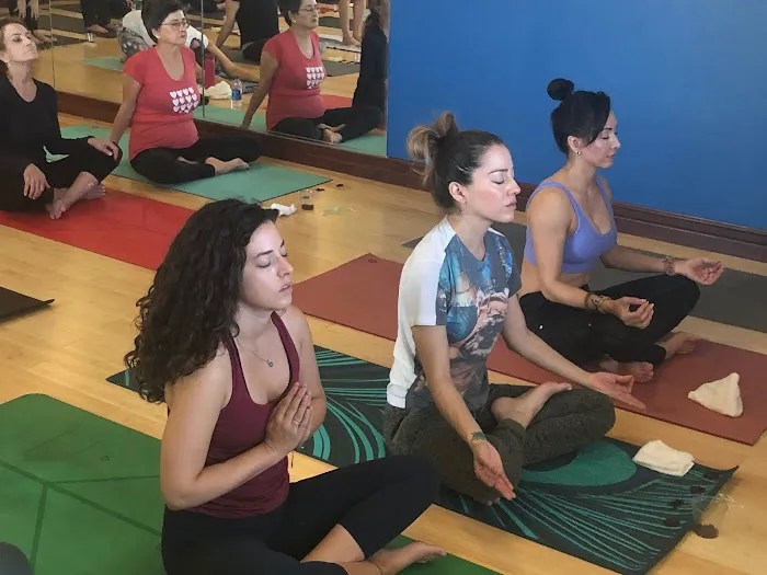 Ananda Pilates Barre and Yoga Picture 8