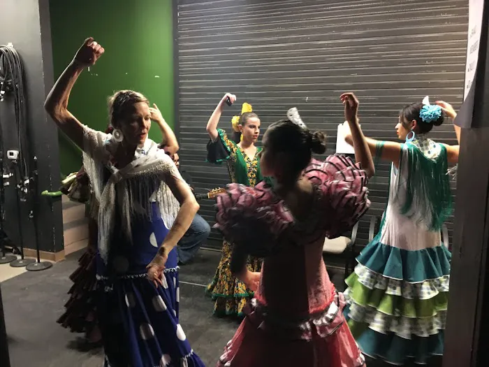 Studio Casa de Flamenco Picture 4