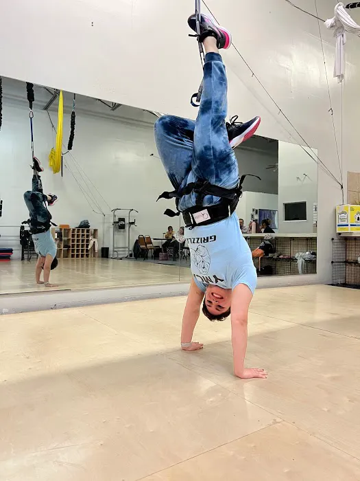 On Edge Aerial Dance Picture 6