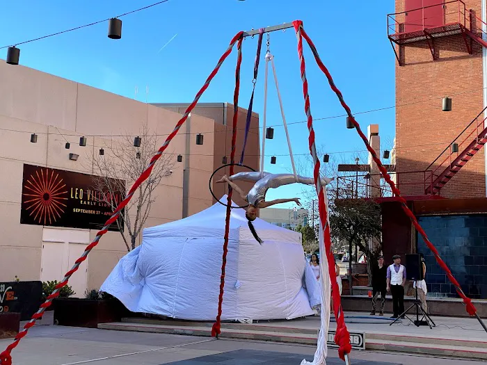 On Edge Aerial Dance Picture 8