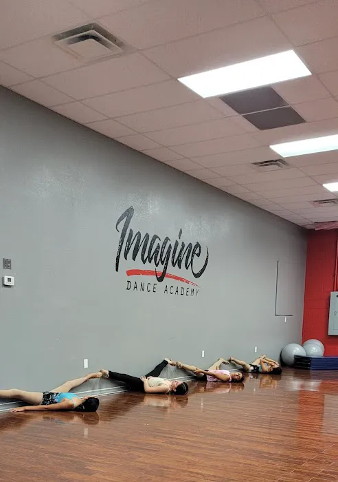 Imagine Dance Academy Picture 1