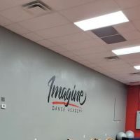 Imagine Dance Academy ico