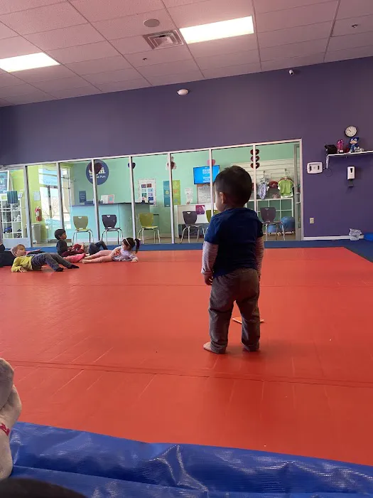 The Little Gym of El Paso Picture 9