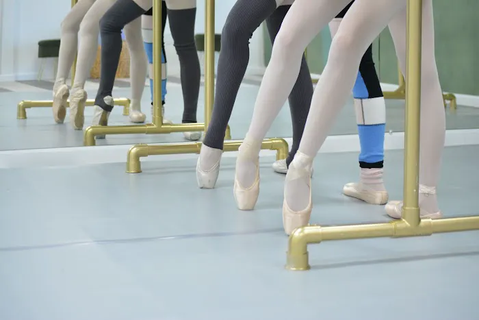 Nylia Ballet Academy Picture 4