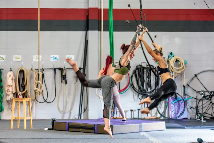 Aerial Dragons Studios Picture 8