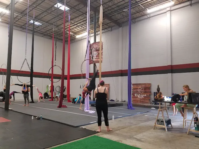 Aerial Dragons Studios Picture 9