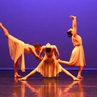 Dancebox Studio ico