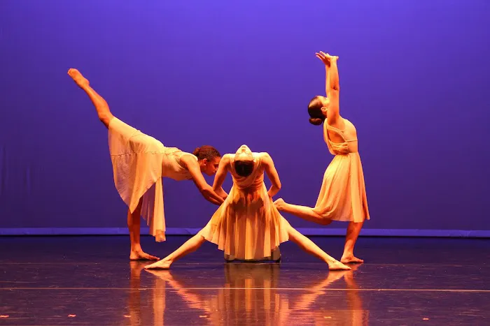 Dancebox Studio Picture 4