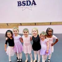 Bay-Area School of Dance Arts ico
