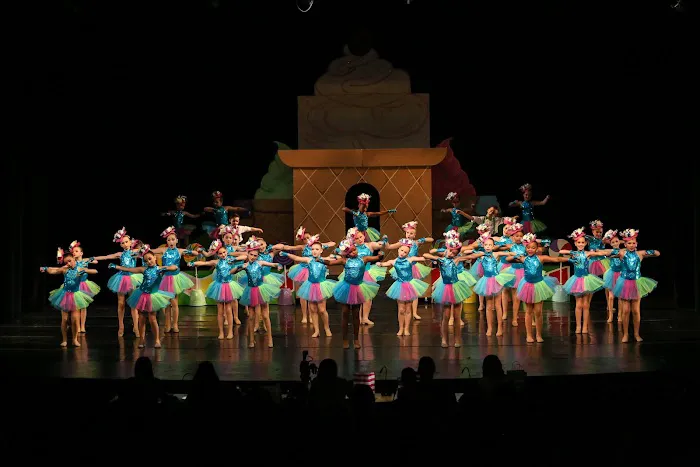 Bay-Area School of Dance Arts Picture 3