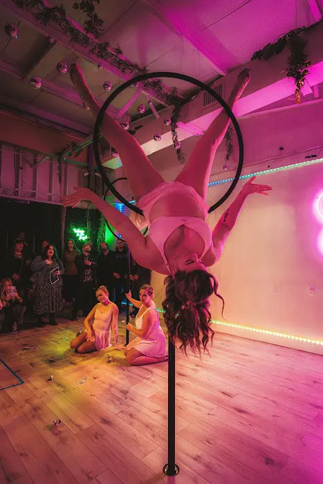 The House Of Chrome Pole Fitness Picture 1