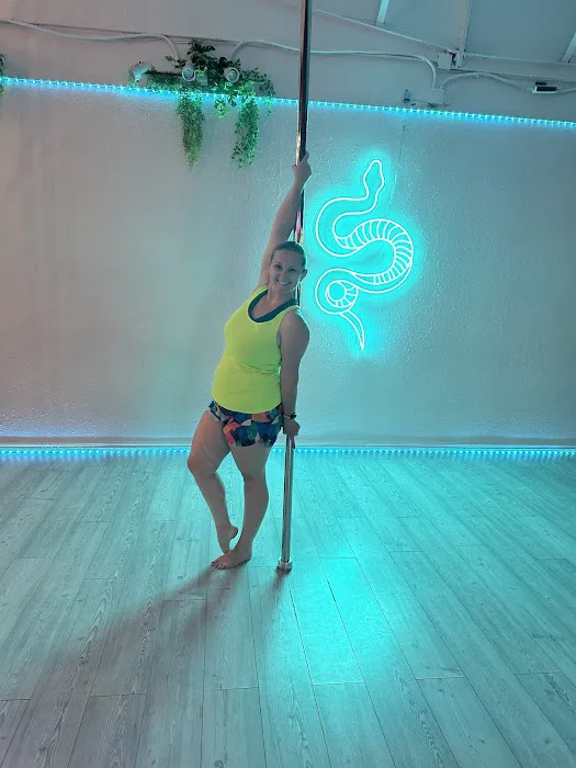 The House Of Chrome Pole Fitness Picture 5