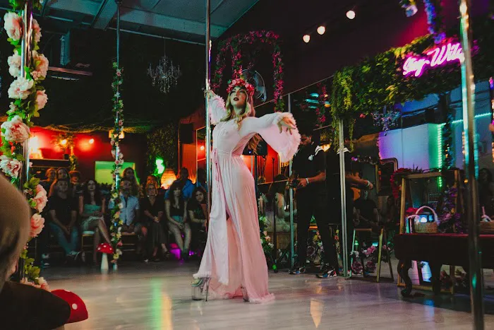 The House Of Chrome Pole Fitness Picture 4