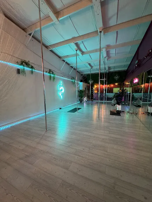 The House Of Chrome Pole Fitness Picture 2