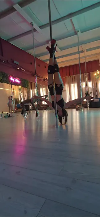 The House Of Chrome Pole Fitness Picture 7