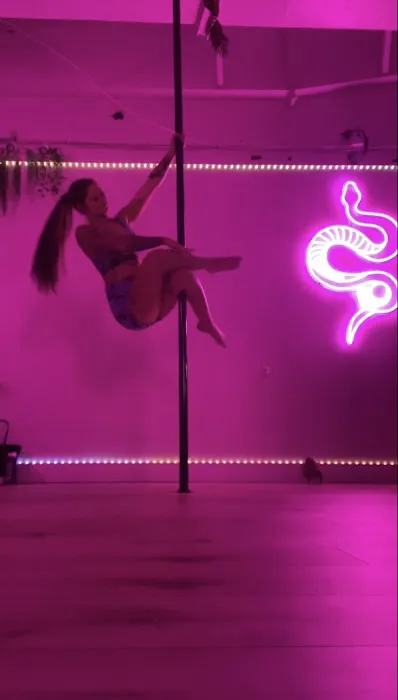 The House Of Chrome Pole Fitness Picture 6