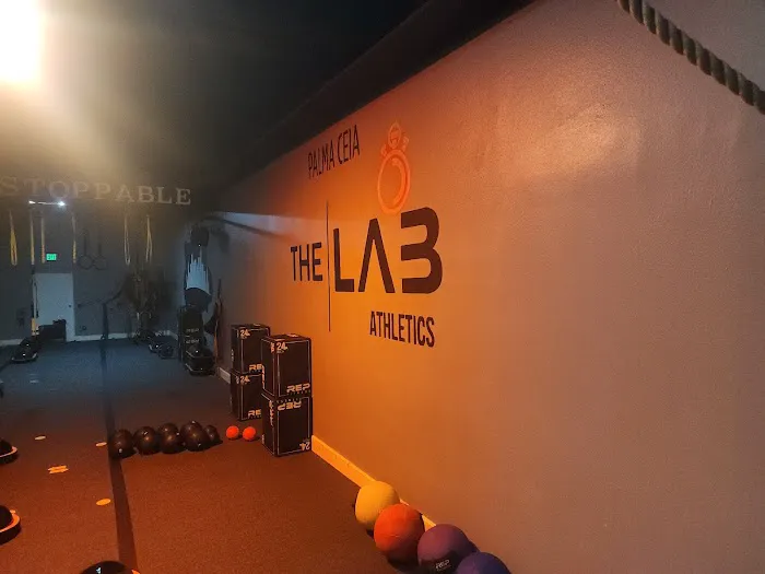 Lab Athletics Picture 1