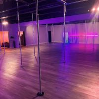 Studio Nightshade Pole Dance ico