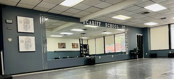 Scariff School of Irish Dance Picture 2