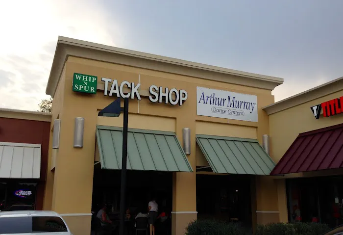Arthur Murray Dance Studio Tampa North Picture 1