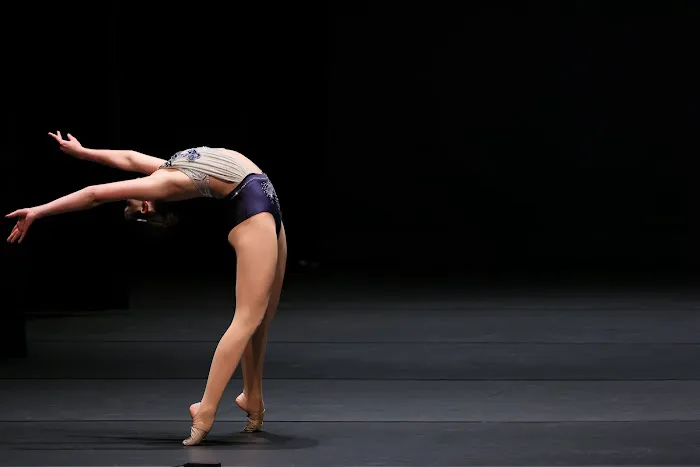 Dancemakers School of the Dance Picture 4