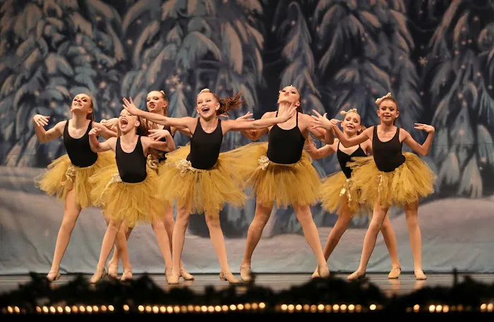 Dancemakers School of the Dance Picture 9
