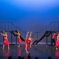 Brandon School of Dance Arts ico
