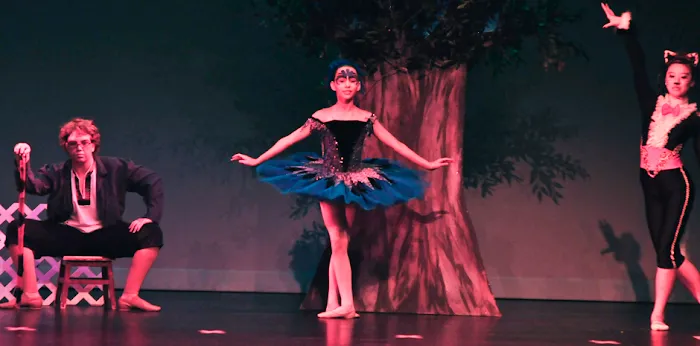 Ruby Dance Center LLC Picture 7