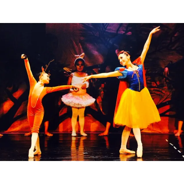Ruby Dance Center LLC Picture 6