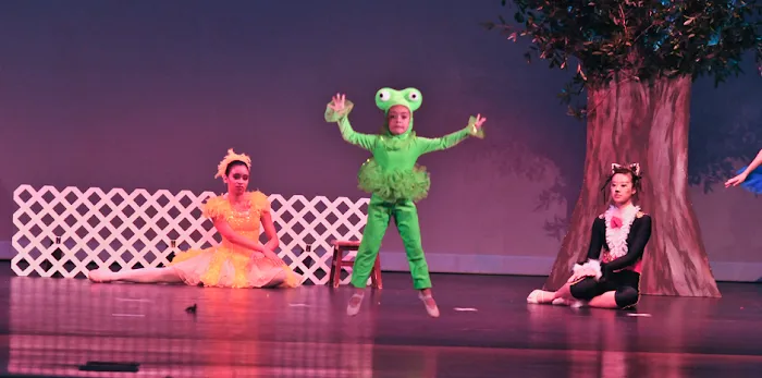 Ruby Dance Center LLC Picture 4