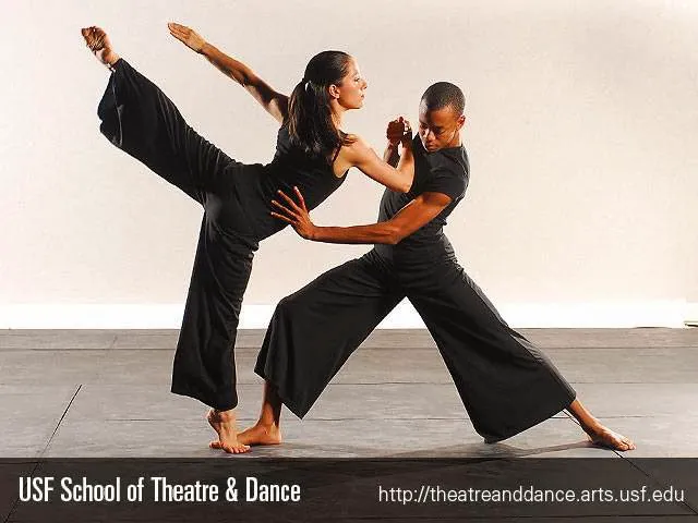 USF School of Theatre and Dance Picture 3