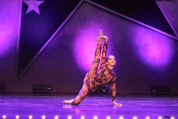 Danzaire Dance and Music Academy Picture 1