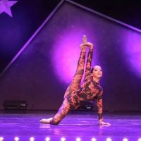 Danzaire Dance and Music Academy ico