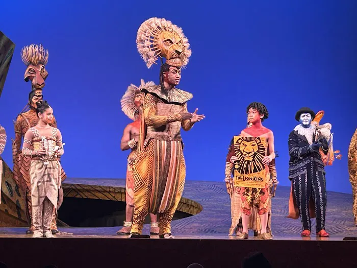 Ovations Dance Academy of Tampa LLC. Picture 9