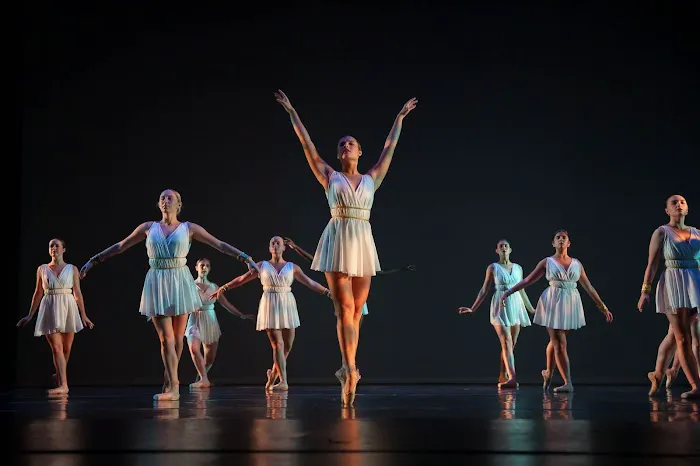 USF College of Design, Art & Performance Picture 4