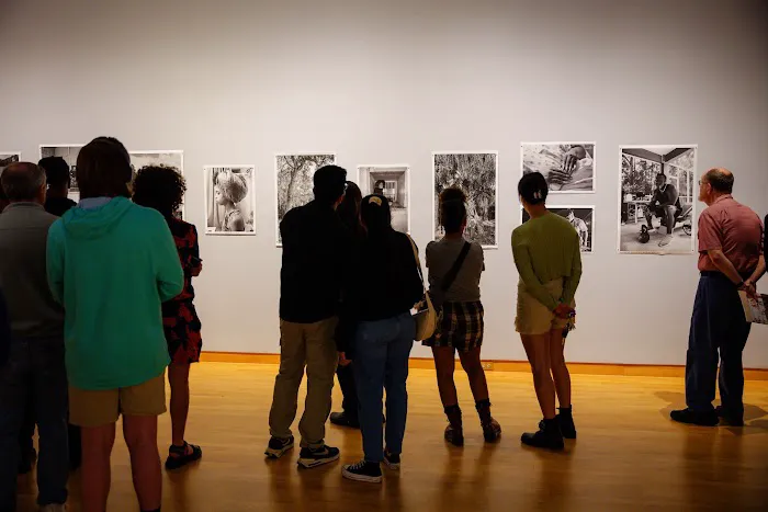 USF College of Design, Art & Performance Picture 9