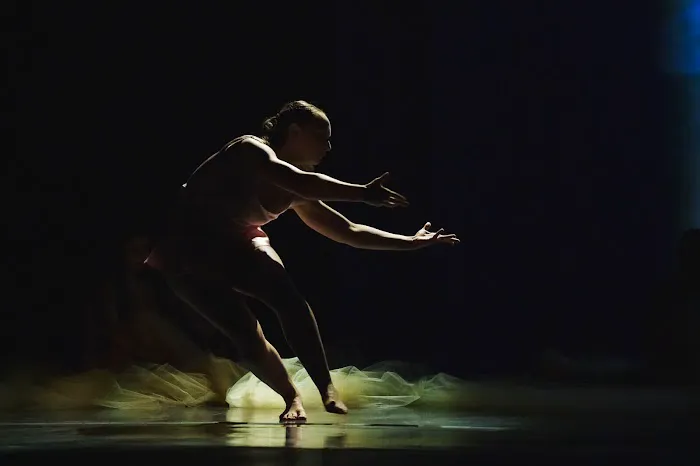 USF College of Design, Art & Performance Picture 3