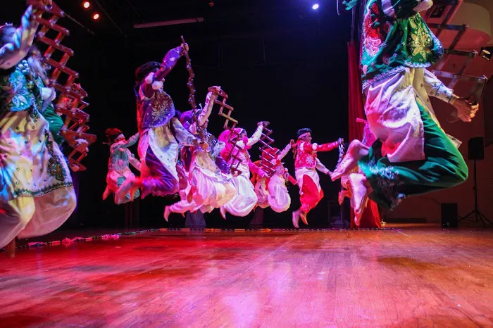 Academy Of Odissi Dance Tampa Picture 4
