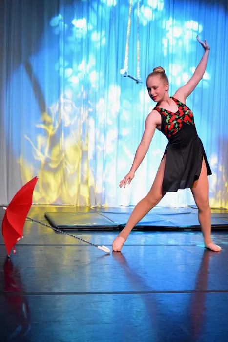 Dance and Circus Arts of Tampa Bay Picture 4